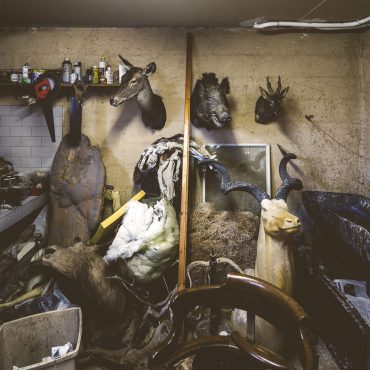 Ayer photographe aubigny vendee parents enfance souvenir vue de l'atelier bazar