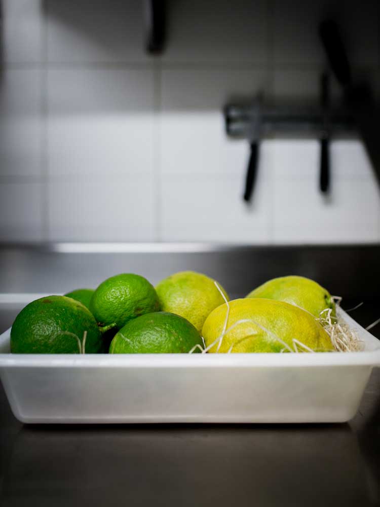 Ayer photographe rennes hotel balthazar cuisine gastronomie les citrons jaunes et verts