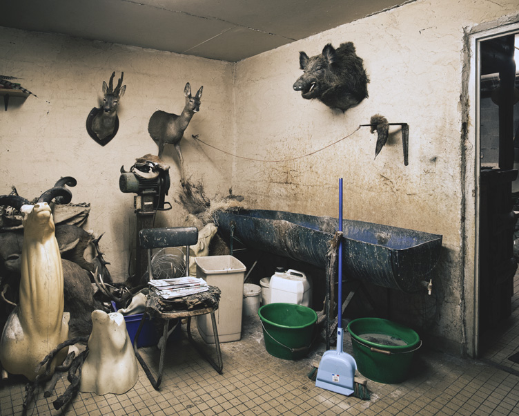 Ayer photographe rennes taxidermie naturaliste vue d'ensemble de l'atelier et du bain de tannage