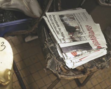 Ayer photographe rennes taxidermie naturaliste journaux ouest france