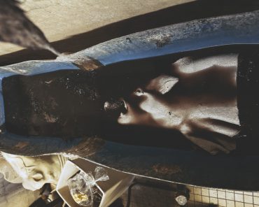 Ayer photographe rennes taxidermie naturaliste une peau de sanglier dans le bain de tannage